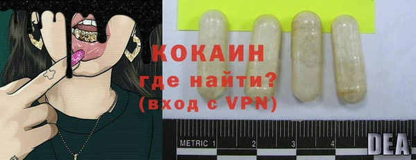 гидра Бородино