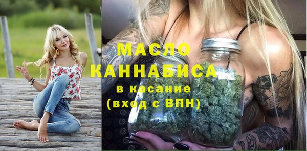 гидра Бородино