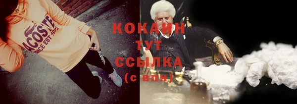 дживик Бронницы