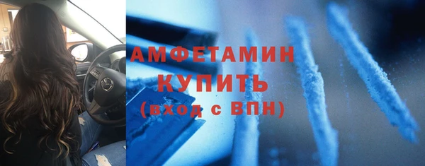 гидра Бородино