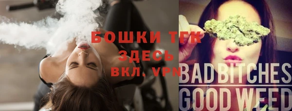 гидра Бородино