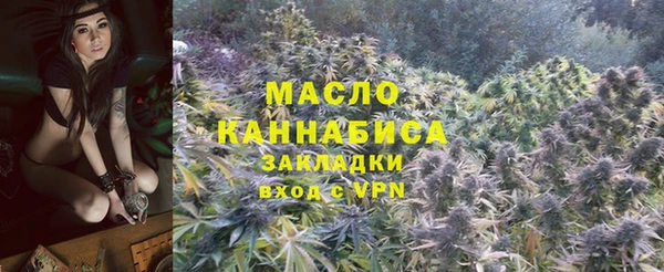 индика Бугульма