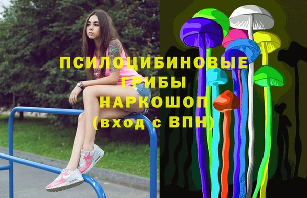 дживик Бронницы