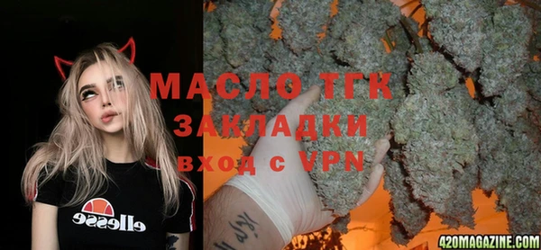 дживик Бронницы