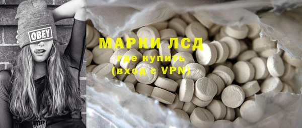 индика Бугульма