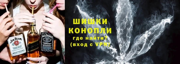 гидра Бородино