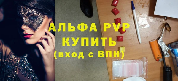 гидра Бородино