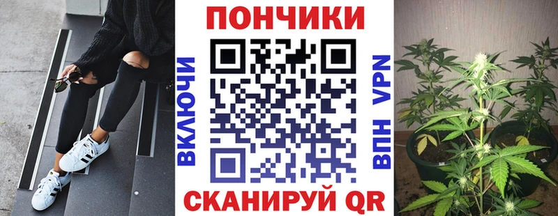 закладка Ачхой-Мартан Бошки марихуана MAZAR